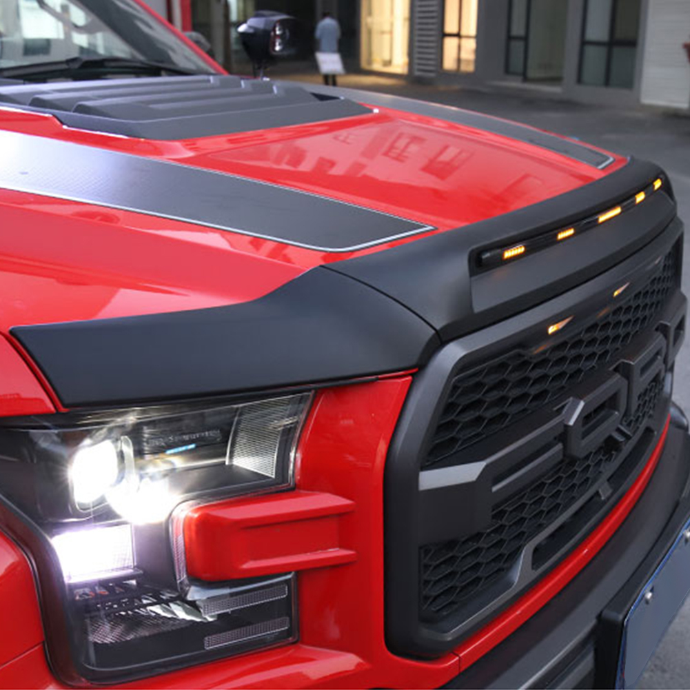 Front Bug Shield Hood Deflecto - огляд і ціна Lighting Bug Decor