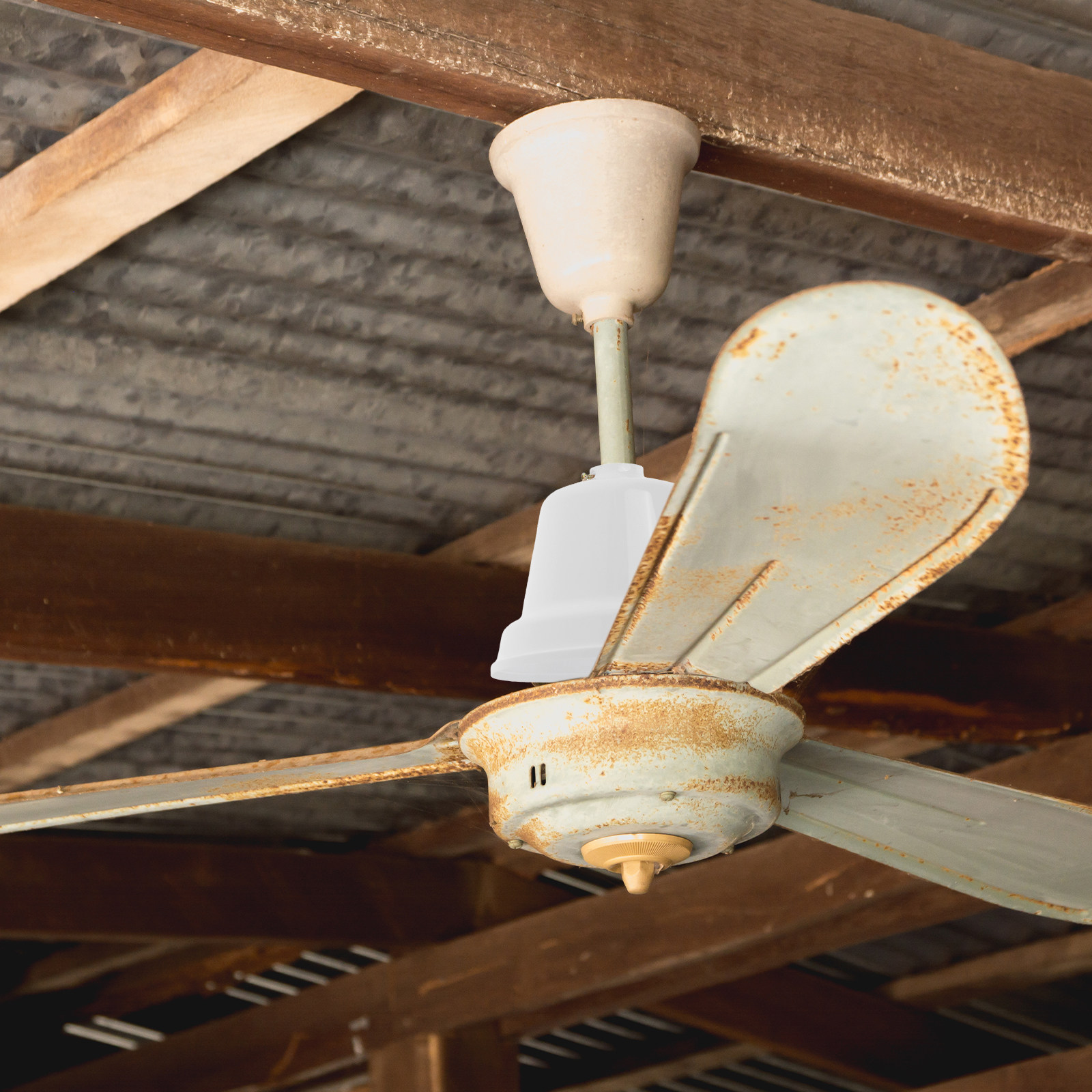 Ceiling Fan Dust Cover Large P - огляд і ціна Decor Lighting Fans
